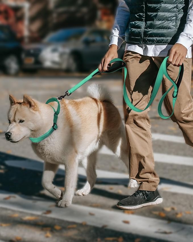FunTags Reflective Martingale Collar for Dogs, Quick Release Buckle, 5FT Double Handle Dog Leash Padded, Dog Collar and Leash Set, Adjustable for Large Dogs (Turquoise, L)