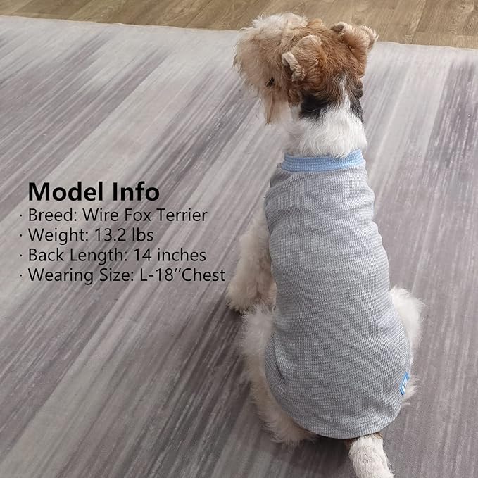 KYEESE 2Pack Dog Shirts Waffle for Small Dogs Stretchy Pet T-Shirts Lightweight Dog Tank Top Sleeveless Dogs Vest Breathable, Large, Blue+Grey