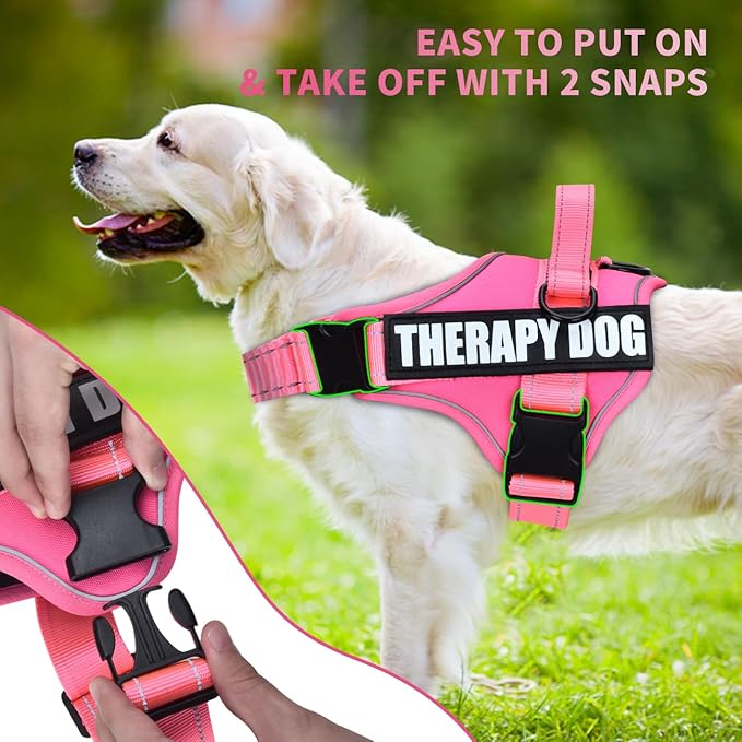 Dog Vest Harness and Leash Set, Animire Reflective Service Dog Vest with 10 Patches, 3 Rings No Choke Pet Vest for Leash Placement, in Training Dog Harness for Small Medium Large Dogs(Hot Pink,XL)