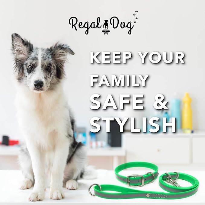 Regal Dog Products Small Lime Green Reflective Dog Collar and Leash Set - Waterproof Biothane Dog Collar with Heavy Duty Double Buckle, D Ring & 5ft Leash - Other Size for Medium & Large Dogs