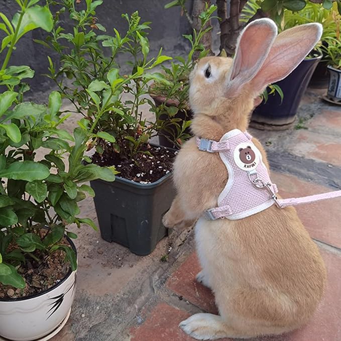 Rabbit Harness and Leash Set 2 Pieces Adjustable Bunny Harness Leash Ferret Harness Guinea Pig Harness Ferret Leash for Small Pets Walking Outdoor (Blue, Small)