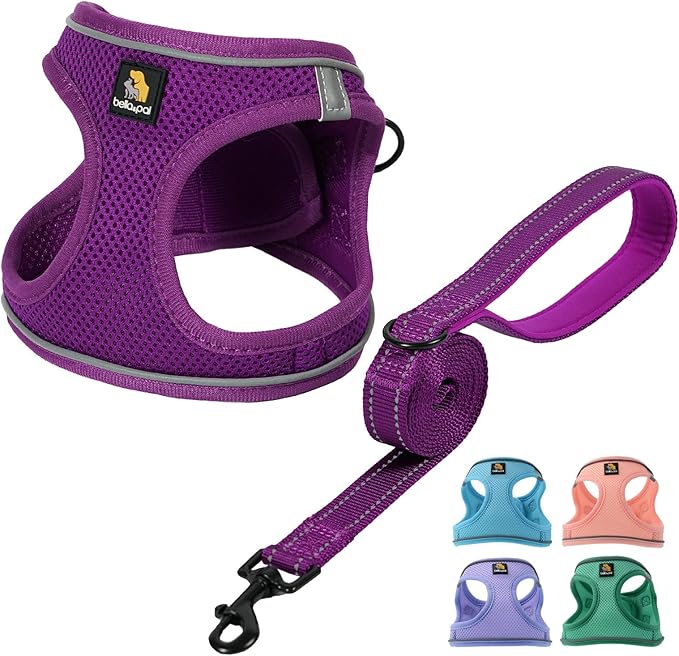 BELLA & PAL Puppy Harness With Leash Set, No Pull for Small Dogs, Step in Harness for Extra Small Dogs, Deep Purple, XXS