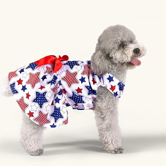 CuteBone Dog Mesh Dress Puppy Sundress Pet Outfit Summer Fashion for Small Dogs Girl Cat Clothes BF11XXS