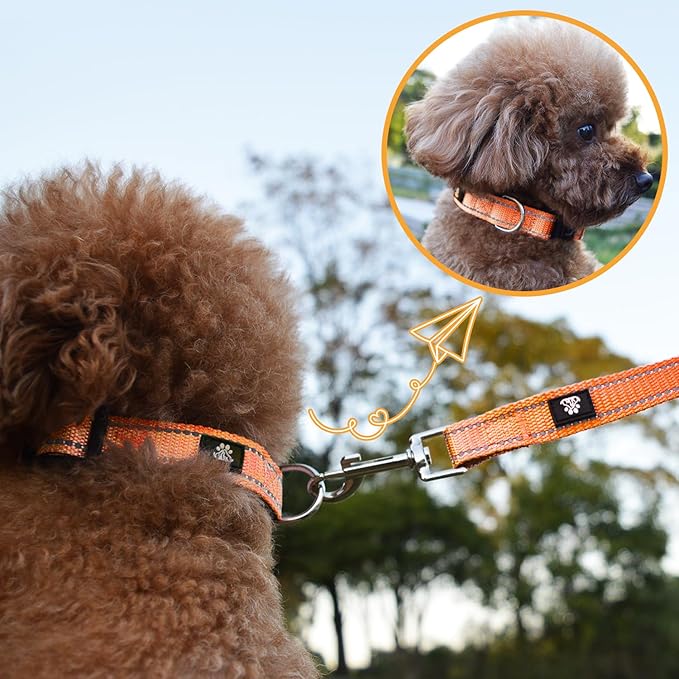 NESTROAD Reflective Dog Collar and Leash Set,Soft Neoprene Pet Collar with Quick Release Buckle,Adjustable Nylon Dog Collars for Small Medium Large Dogs(Medium Collar + 5FT Leash,Orange)