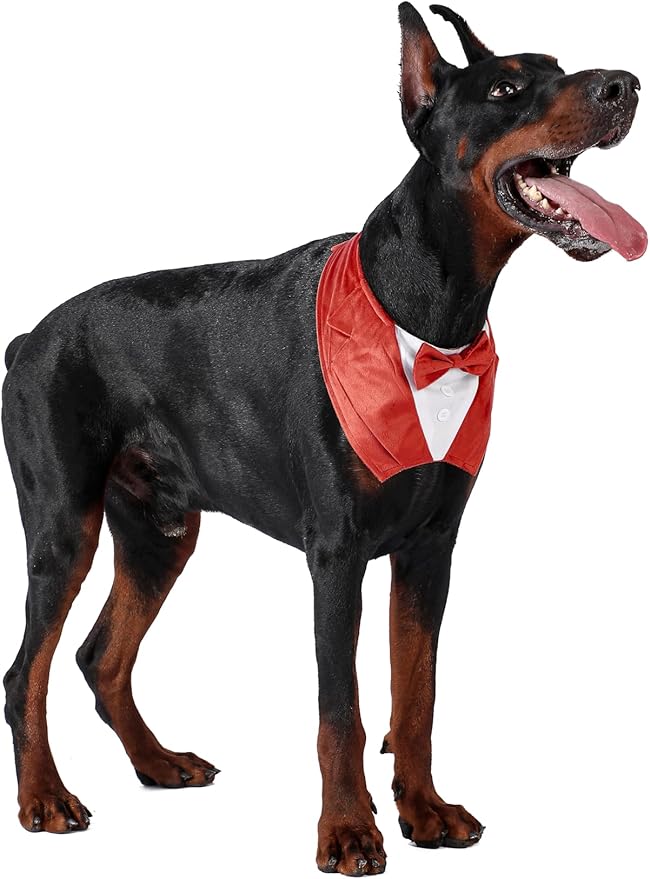 Dog Tuxedo Collar Suit for Wedding Engagement and Birthday, Halloween Formal Tux Bandana Costume with Orange Bow Tie and Adjustable Buckle,Suitable for Medium Pup (Orange, M)