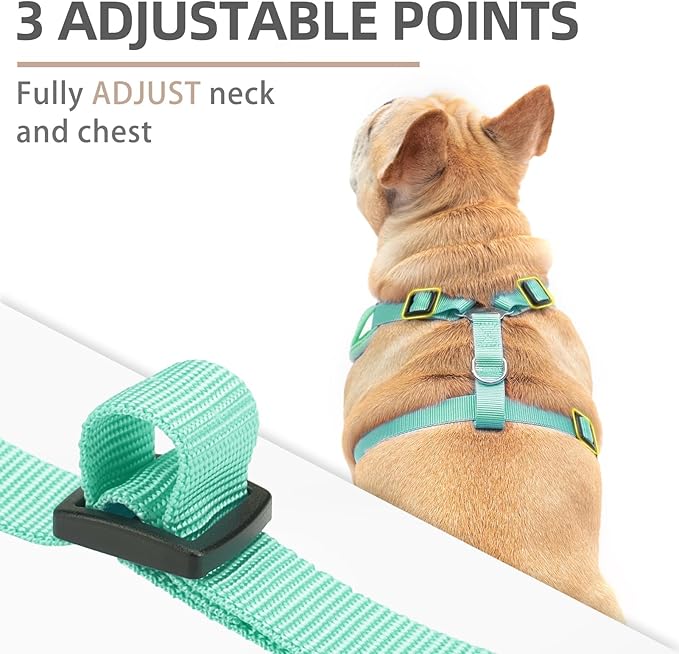 PUPTECK Dog Harness and Leash Set for Small Medium Dogs No Pull, Soft Mesh Adjustable Puppy Cat Harness Reflective at Night, Green XS