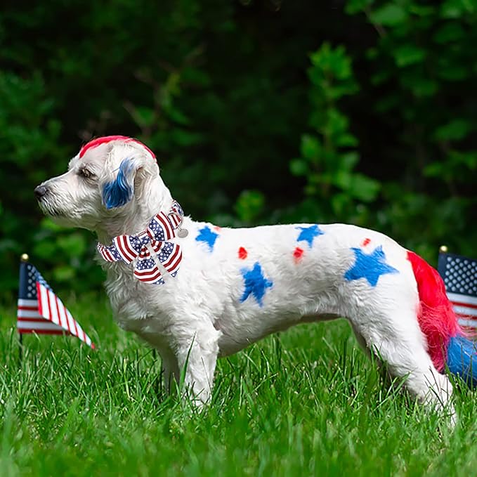 Patriotic Dog Collar with Bow Tie, 4th of July Bowtie Dog Collar, American Flag Collar for Large Boy Girl Dog, Comfortable Summer Bowtie Collar with Metal Buckle, L