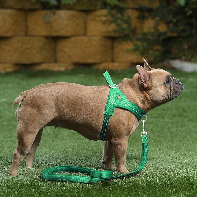 Plutus Pet No Pull Dog Harness with Breathable Mesh Padded, Adjustable Reflective Escape Proof Dog Harness, Quick Fit Dog Vest Harness for Small Medium Large Dogs(M, Green)