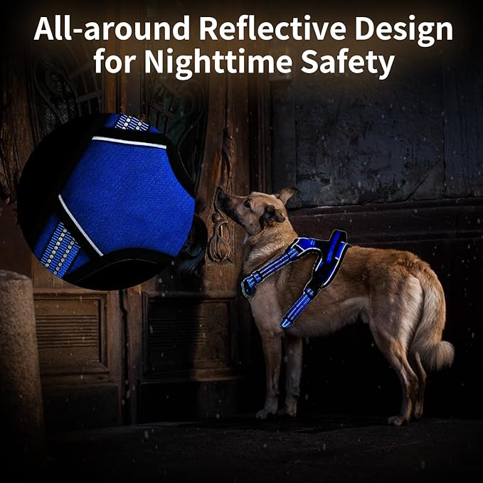 Dog Harness, No-Pull Pet Breathable Harness, Adjustable Soft Padded Dog Vest with 2 Leash Clips, Reflective No-Choke Pet, Easy Control Handle for Large Dogs, Blue, S