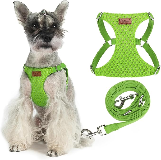 PUPTECK Dog Harness and Leash Set Small Sized, Step-in Cute Puppy Harness, Soft Lightweight Padded Vest, Escape Proof No Pull Pet Harnesses Easy for Walking, Green, S