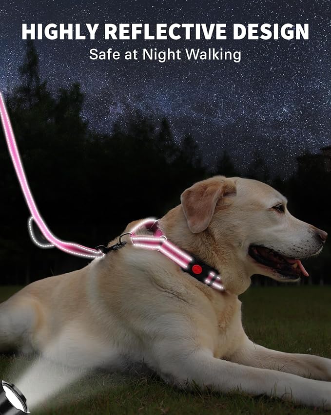 FunTags Reflective Martingale Collar for Dogs, Quick Release Buckle, 5FT Double Handle Dog Leash Padded, Dog Collar and Leash Set, Adjustable for Small Dogs (Hotpink, S)