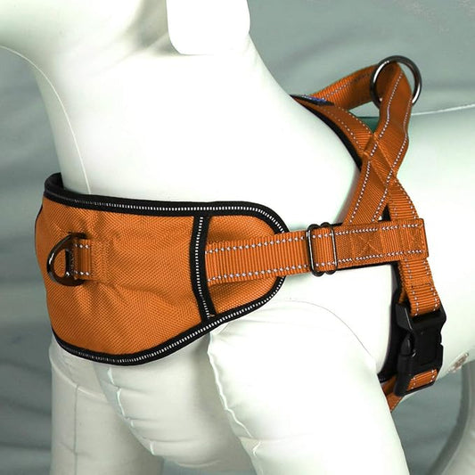 Max and Neo Passport Reflective Dog Harness - We Donate a Harness to a Dog Rescue for Every Harness Sold (Medium (19"-24.5" Chest Girth), Orange)