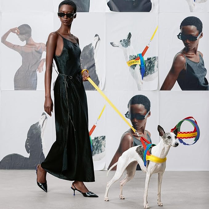 VETRESKA MoMA Dog Harness for Medium Large Dogs, Easy Walk Dog Harness and Leash Set, No Pull Dog Vest Harness for Walking and Training, Adjustable, Take Control & Anti-Twist Pet Lead Combo(Yellow, M)