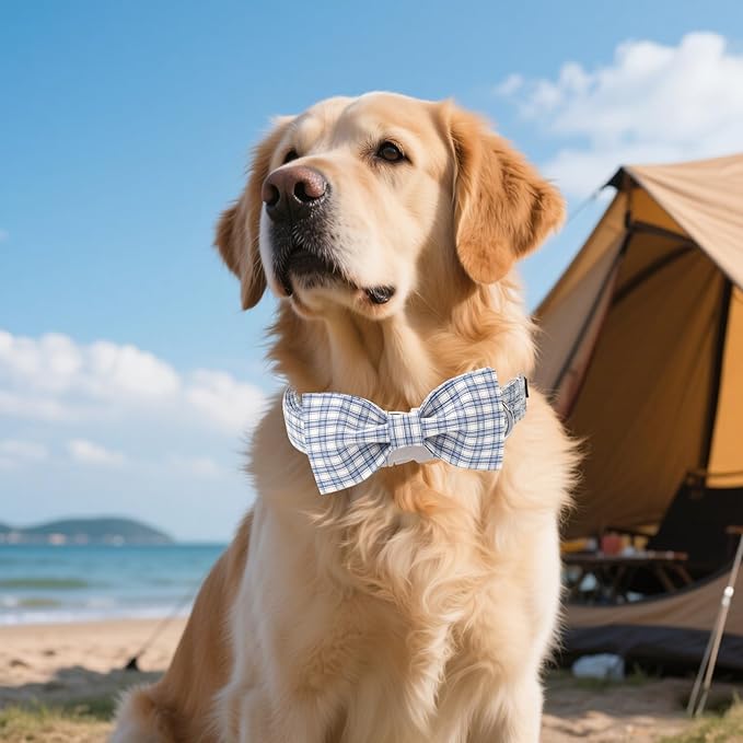 Unique style paws Cotton Dog Collar with Bow Spring Summer Collar with Blue White Grid for Small Medium Large Boys Girls Dogs