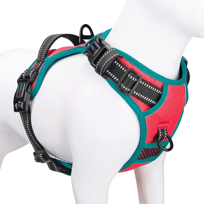 PHOEPET No Pull Dog Harness, Unique Colors Reflective Adjustable Dog Vest, with Soft Training Handle Metal Clips for Small Medium Large Dogs (Red Base & Teal Straps,XL)
