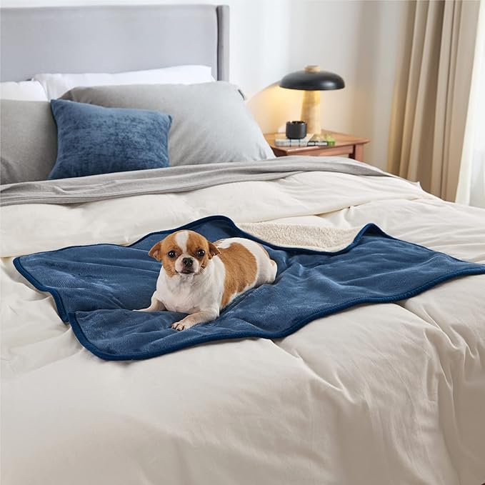 Bedsure Waterproof Dog Blankets for Small Dogs - Small Cat Blanket Washable for Couch Protection, Sherpa Fleece Puppy Blanket, Soft Plush Reversible Throw Furniture Protector, 25"X35", Blue