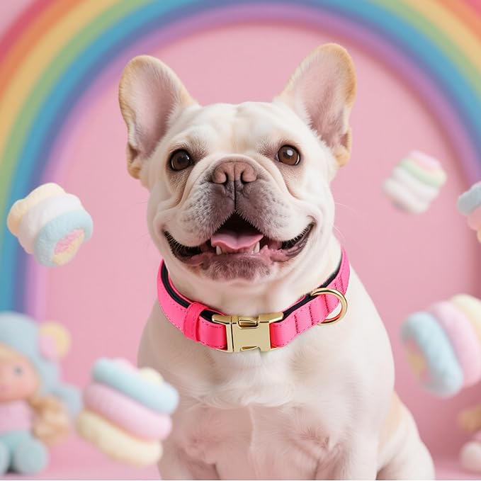 Didog Soft Padded Dog Collars for Small Dogs, Cute Pink Pet Collar with Quick Release Buckle, Light and Breathable for Girl Dogs Daily Walking,Pink,S(Neck:10-15")