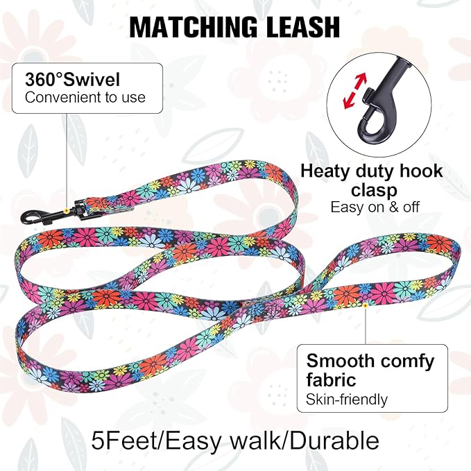 BEAUTYZOO No Pull Dog Harness and Leash Set - Adjustable Step-in Puppy Harness for Small Medium Large Dogs, Escape Proof Soft Nylon Vest with Double D Ring for Walking Running Training, L