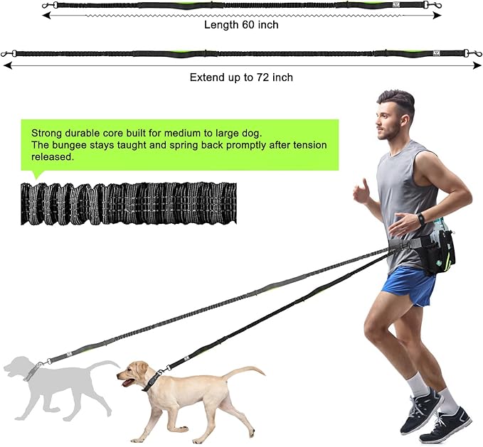 SHINE HAI Retractable Hands Free Dog Leash with Dual Bungees for 2 Dogs, Adjustable Waist Belt, Reflective Stitching Leash for Running Walking Hiking Jogging Biking Black - Green