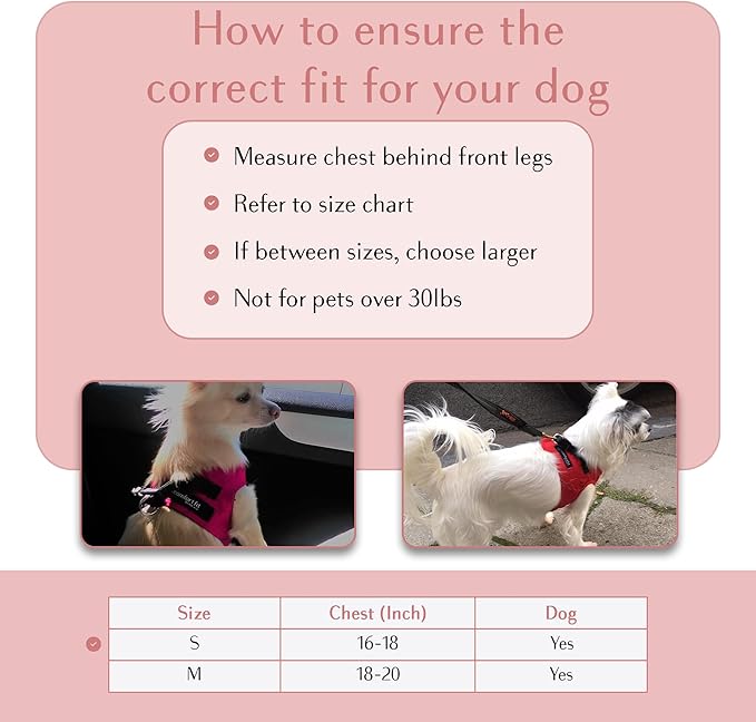 Comfort fit Step-in Dog & Puppy Harness - Comfortable All Weather Dog Vest Harness: Adjustable, Soft Padded, Easy to Put-on for Small, Medium-Sized Dogs.