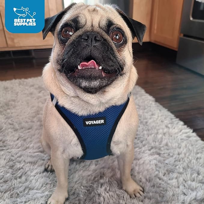 Voyager Step-in Air Dog Harness - All Weather Mesh, Reflective, No Pull Harness for Small, Medium Dogs, Cats - Secure with Hook & Loop Fastener, Buckle, Double D-Rings - Blue/Black Trim, XXXS