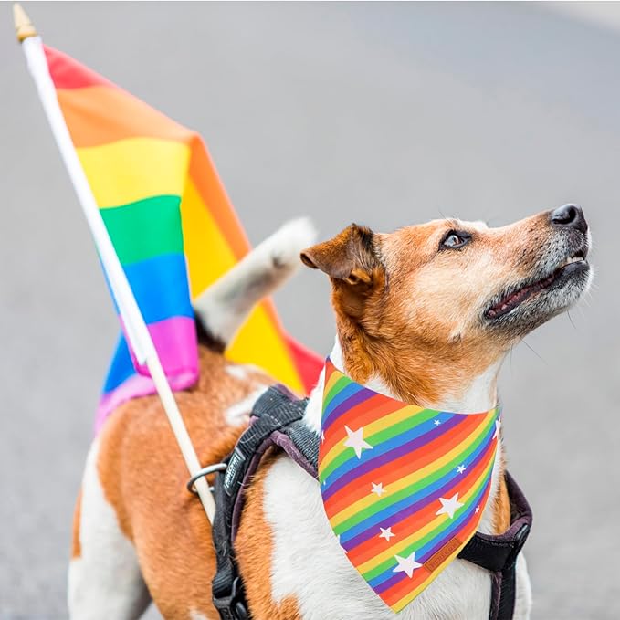 PTDECOR Rainbow Dog Bandanas Pride Day, Multi Size,“Love is Love” Pet Scarf Reversible Triangle LGBT+ Rainbow Bandanas for Small Dogs Pets (Small)