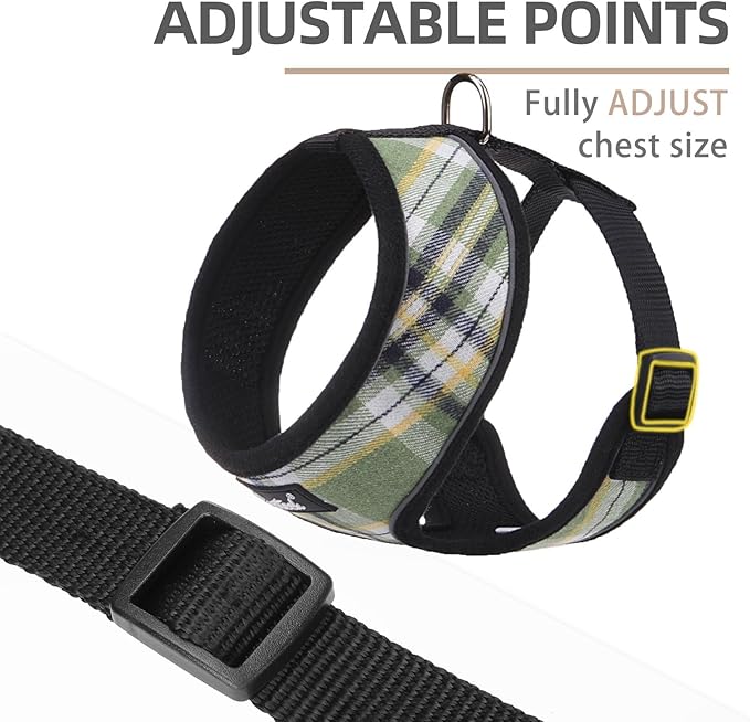 PUPTECK Soft Mesh Dog Harness and Leash Set Pet Puppy Cat Comfort Padded Vest No Pull Harnesses, Green/Yellow, M