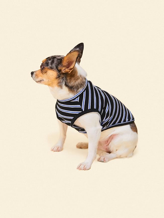 Little Beast Dog Clothes - Pet Clothes for Large, Medium, and Small Dogs (Dog Shirts Come in Multiple Colors and Styles) - Size: X-Large Dogs, Black/Blue