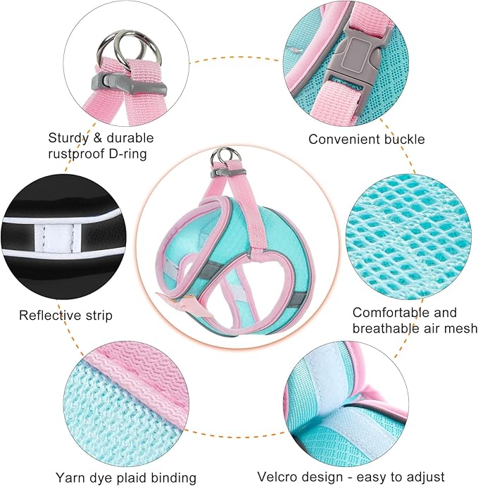 Dog Harness with Leash Set, Step-in Breathable Puppy Cat Dog Vest Harnesses, No Pull Adjustable Reflective Puppy Harness with Soft Padded Vest for Extra-Small/Small Medium Large Dogs and Cats