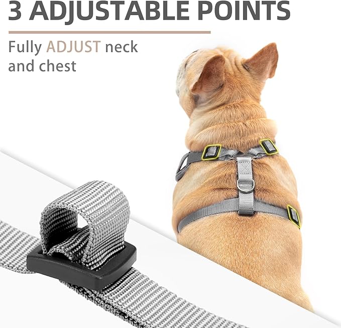 PUPTECK Dog Harness and Leash Set for Small Medium Dogs No Pull, Soft Mesh Adjustable Puppy Cat Harness Reflective at Night, Grey L