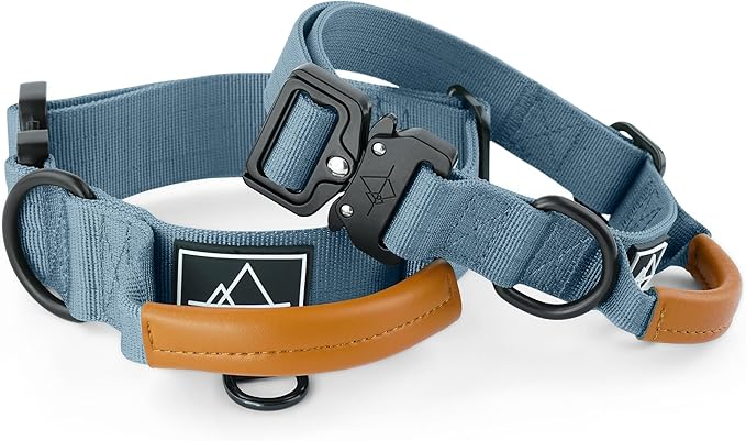 Made to ROAM Premium Explorer Control Collar - Adjustable Heavy Duty Nylon Dog Collar with Quick-Release Metal Buckle and Handle (California Horizon, Control Size 2.5)