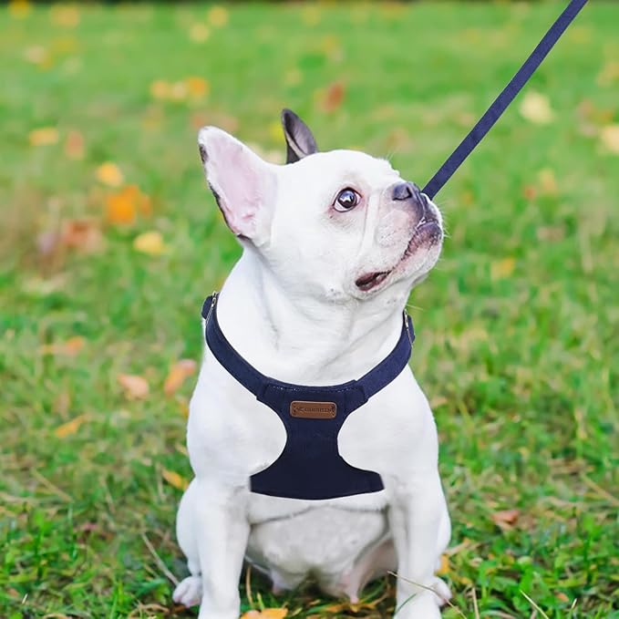 Dog Harness and Leash Set, XS No Pull Adjustable Puppy Harness with Multifunction Denim Blue Dog Leash and Collar, Soft No Choke Escape Proof Pet Harness Vest for Small Dogs and Cats (Denim Blue, XS)