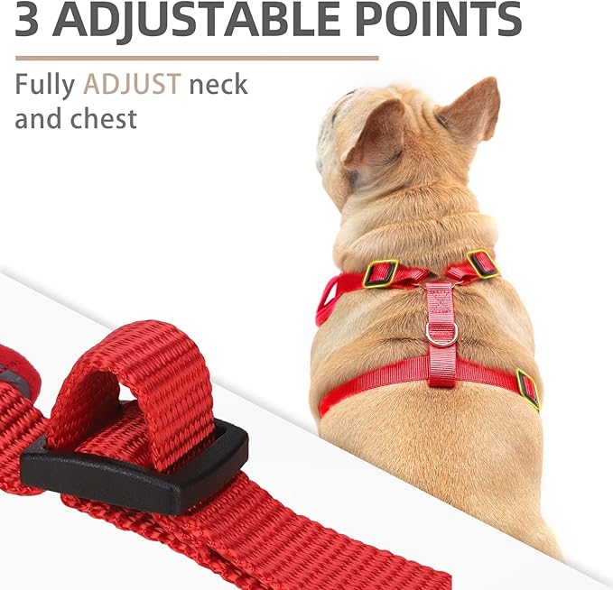 PUPTECK Dog Harness and Leash Set for Small Medium Dogs No Pull, Soft Mesh Adjustable Puppy Cat Harness Reflective at Night, Red M