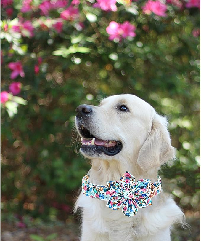 Lionheart Glory Floral Dog Collar - Soft, Durable & Adjustable for Large Dogs