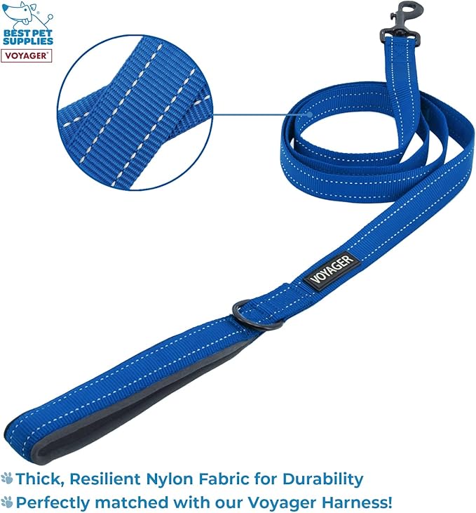 Voyager Step-in Air All Weather Mesh Harness and Reflective Dog 5 ft Leash Combo with Neoprene Handle, for Small, Medium and Large Breed Puppies by Best Pet Supplies - Blue, XX-Small
