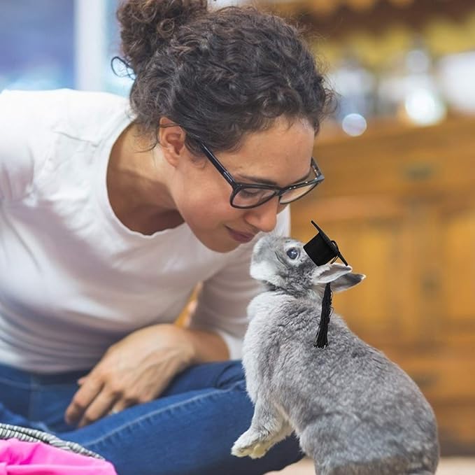 KESYOO 4Pcs Dog Graduation Cap Mini Graduation Cap for Crafts Small Graduation Caps for Decoration Pet Graduation Caps for Holiday Costume Accessory