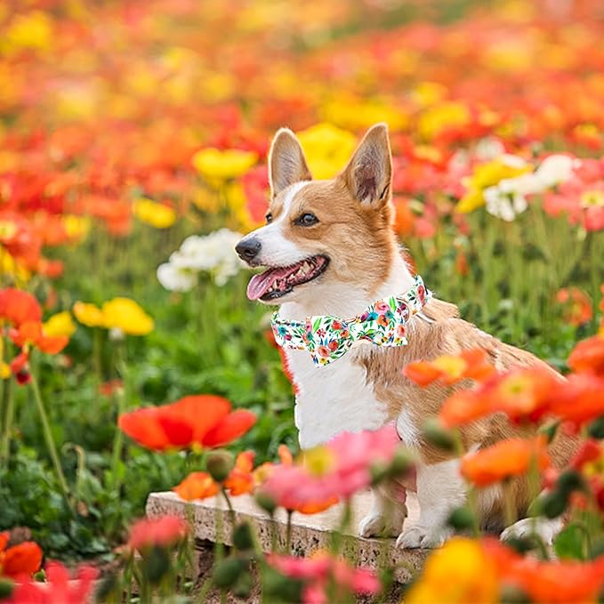 Dog Collar Flowers Print Pet Collar Soft Cute Dog Collar with Bow Tie Adjustable Metal Buckle Collar Gift Collar for Small Dogs
