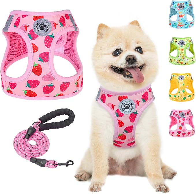 BEAUTYZOO Step in Dog Harness and Leash Set,Reflective Dog Harness No Pull No Choke Puppy Harness for Small Medium Large Dogs Cats,Soft Padded Mesh Vest Harnesses for Girl and Boy Pets, Strawberry M