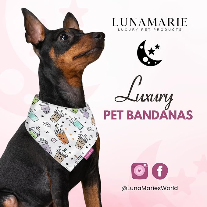 Luxury Pet Birthday Bandanas -Premium & Silky Poly Fabric | 100% Handmade | Custom Shape Dual Layered (Boba, X-Small)