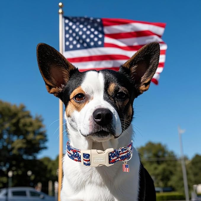 Unique style paws Dog Collar Plastic Buckle with Pendant Newspaper Star Flag Puppy Collars for Small Medium Large Boys Girls Dogs