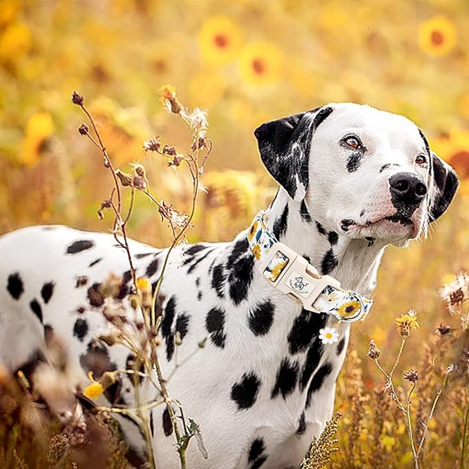 Elegant little tail Dog Collar,Sunflower Pattern Pet Collar Cute Durable Spring Female or Male Adjustable Cotton Pet Collar with Quick Release Buckle for Small Dogs