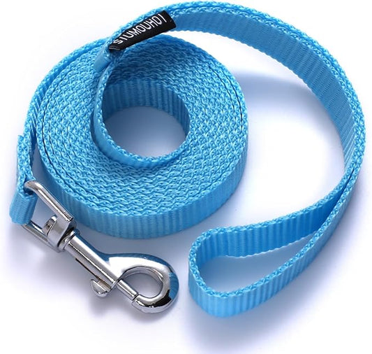 6 FT Puppy Leashes, Strong Traditional Style Leash with Easy to Use Collar Hook,Dog Lead Great for Small and Medium and Large Dog (Mint Blue, 5/8 in x 6 ft)