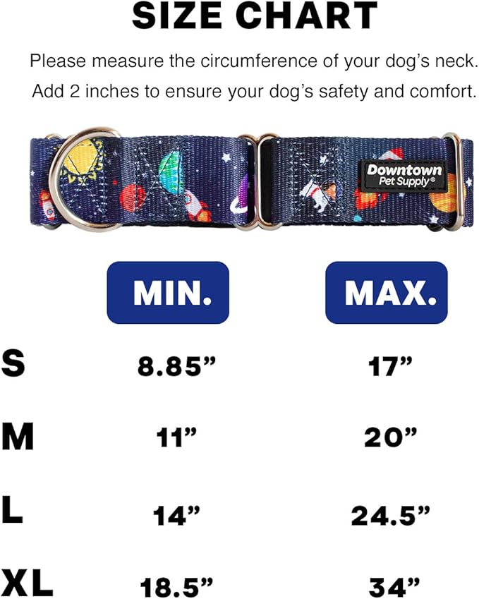 Downtown Pet Supply - Martingale Collar for Dogs - Dog Training Collar - Big, Wide & Thick Dog Collar - Escape-Proof, Weatherproof, Durable and Comfortable - Space - Medium Dog Collar