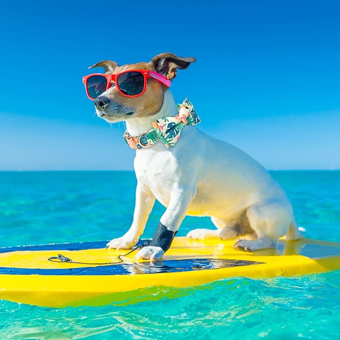 Adjustable Bow Tie Dog Collar Printed Cute Patterns Spring Summer Soft Pet Collars for Small Medium Large Dogs