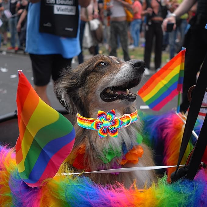 Elegant little tail Dog Collar, Rainbow Flag Dog Collar Flower LGBT Flower Dog Collars Holiday Pet Gift Adjustable Soft Puppy Collar for Medium Dogs