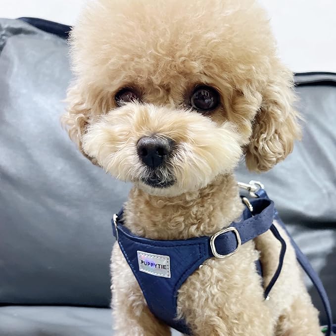 Puppytie No Pull xs Dog Harness with Multifunction Dog Leash,Soft Adjustable No Choke Escape Proof Pet Harness Vest,Glossy Sapphire Blue,XS