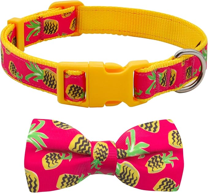azuza Bowtie Dog Collar, Soft & Comfy Dog Collar with Bow, Fun Patterns & Bright Color for Small Dogs
