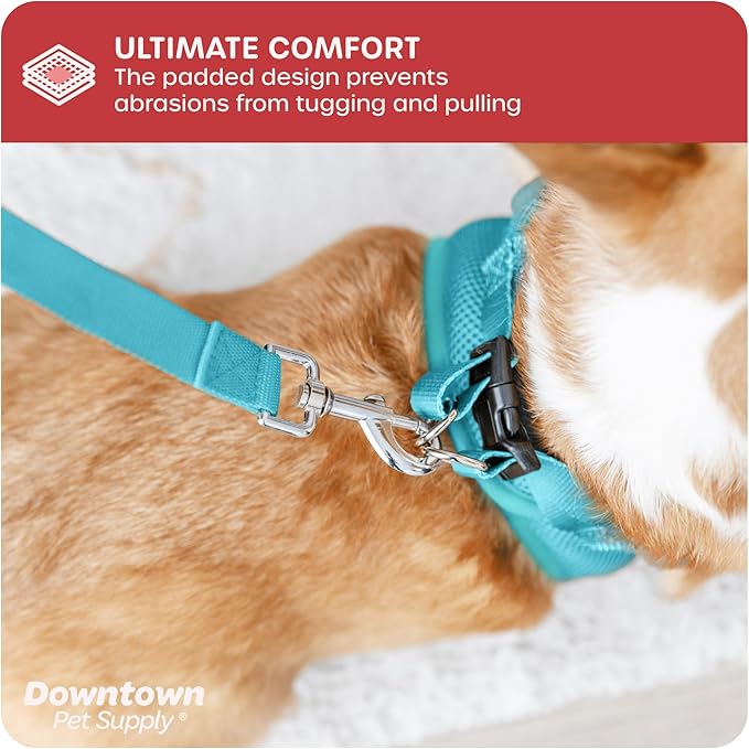 Downtown Pet Supply Step in Dog Harness for Small Dogs No Pull, X-Small, Light Blue - Adjustable Harness with Padded Mesh Fabric and Reflective Trim - Buckle Strap Harness for Dogs