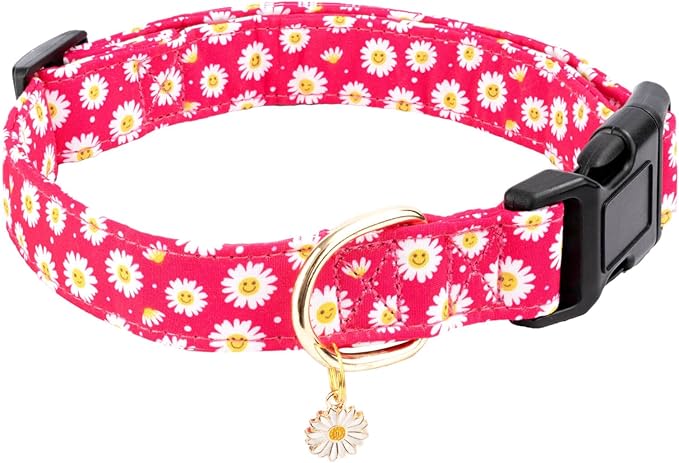 Cotton Dog Collar,Soft and Cute Puppy Collars with Flower Patterned Design for Girl Female Boy Dogs,Adjustable Buckle Pet Collar for Small Medium Large Dogs (Rose Red Flower, S)