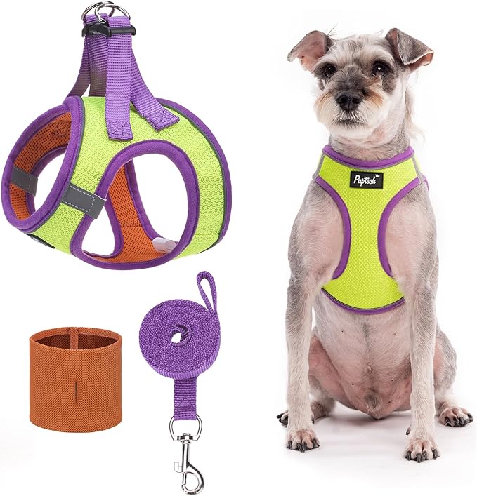 PUPTECK Adjustable Dog Harness Collar and Leash Set Step in No Pull Pet Harness for Small Medium Dogs Puppy and Cats Outdoor Walking Running, Soft Mesh Padded Reflective Vest Harnesses, GreenYellow L